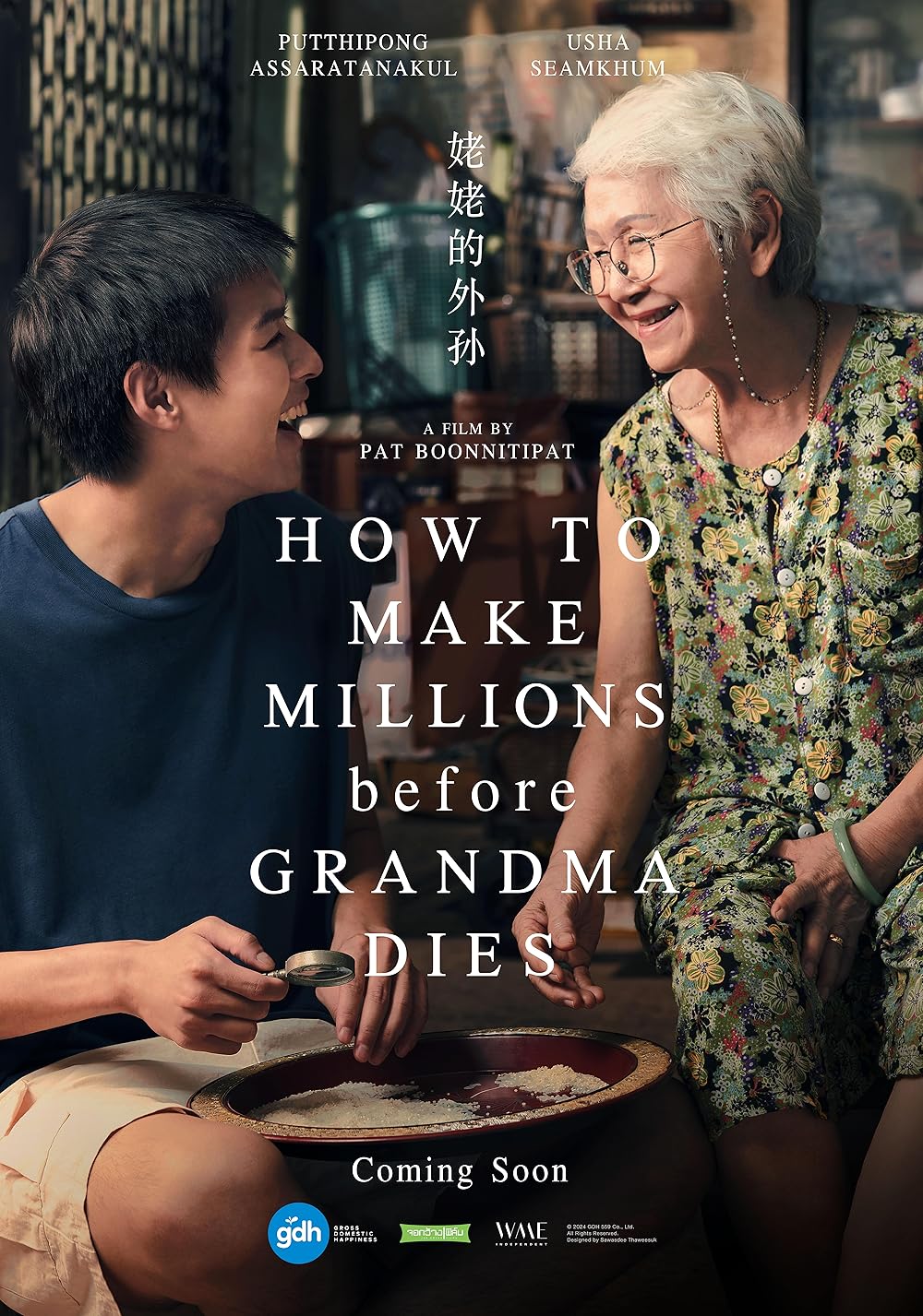 St Mawes Film Club: How to Make Millions Before Grandma Dies (2024)